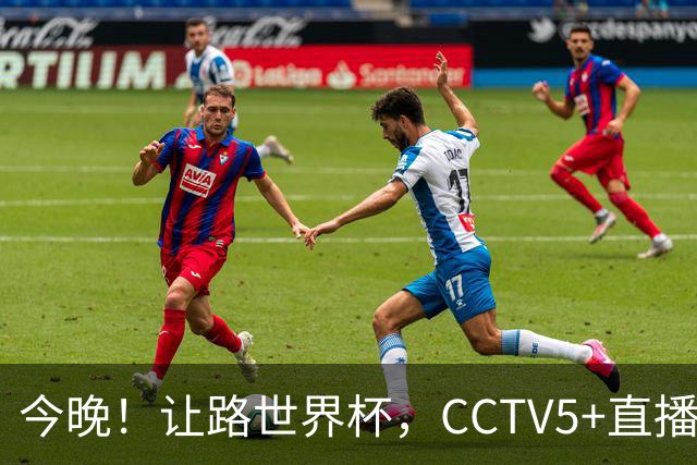 今晚！让路世界杯，CCTV5+直播中国男篮VS日本，赵继伟+杨瀚森领衔